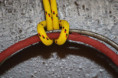 /album/bubienky/img-0929-jpg/